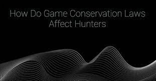 How Do Game Conservation Laws Affect Hunters?